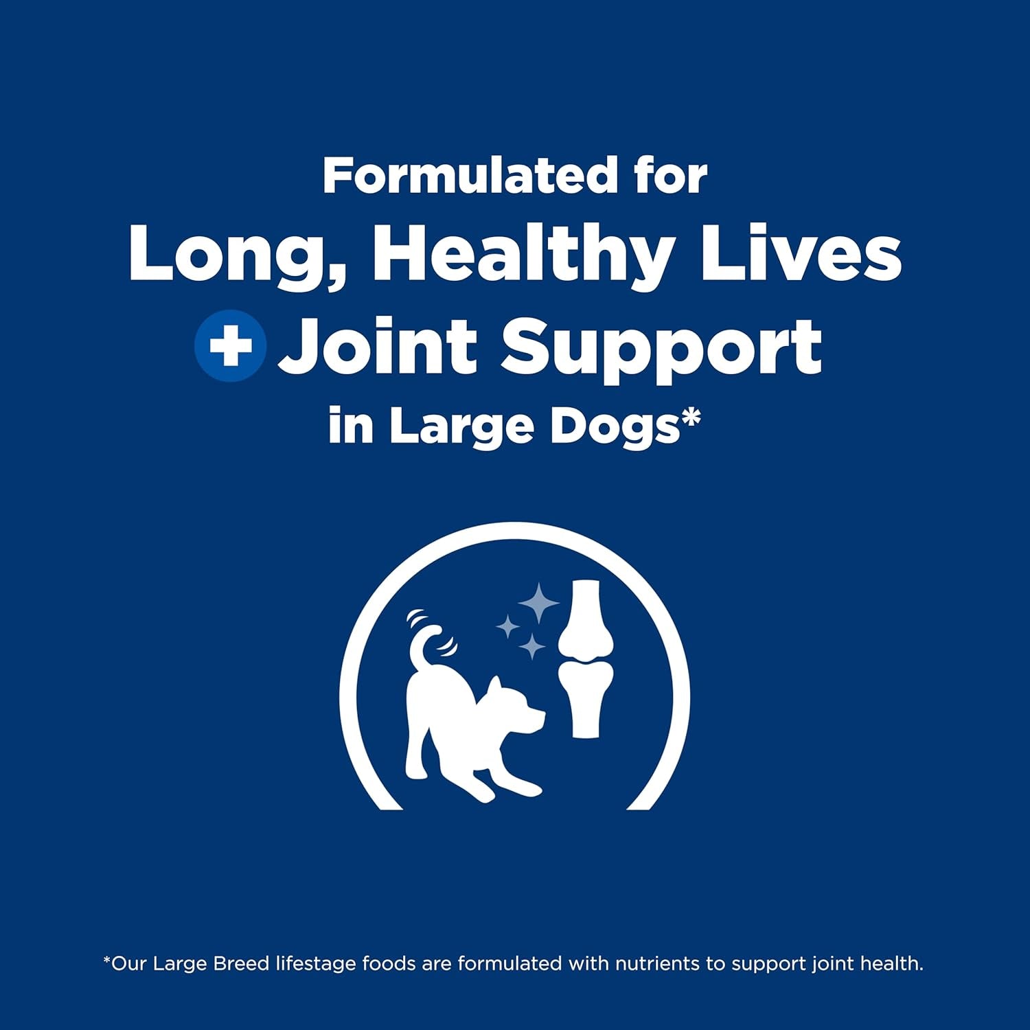 Dry Dog Food, Puppy, Large Breeds